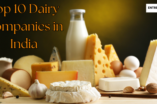 Top 10 Dairy Companies in India